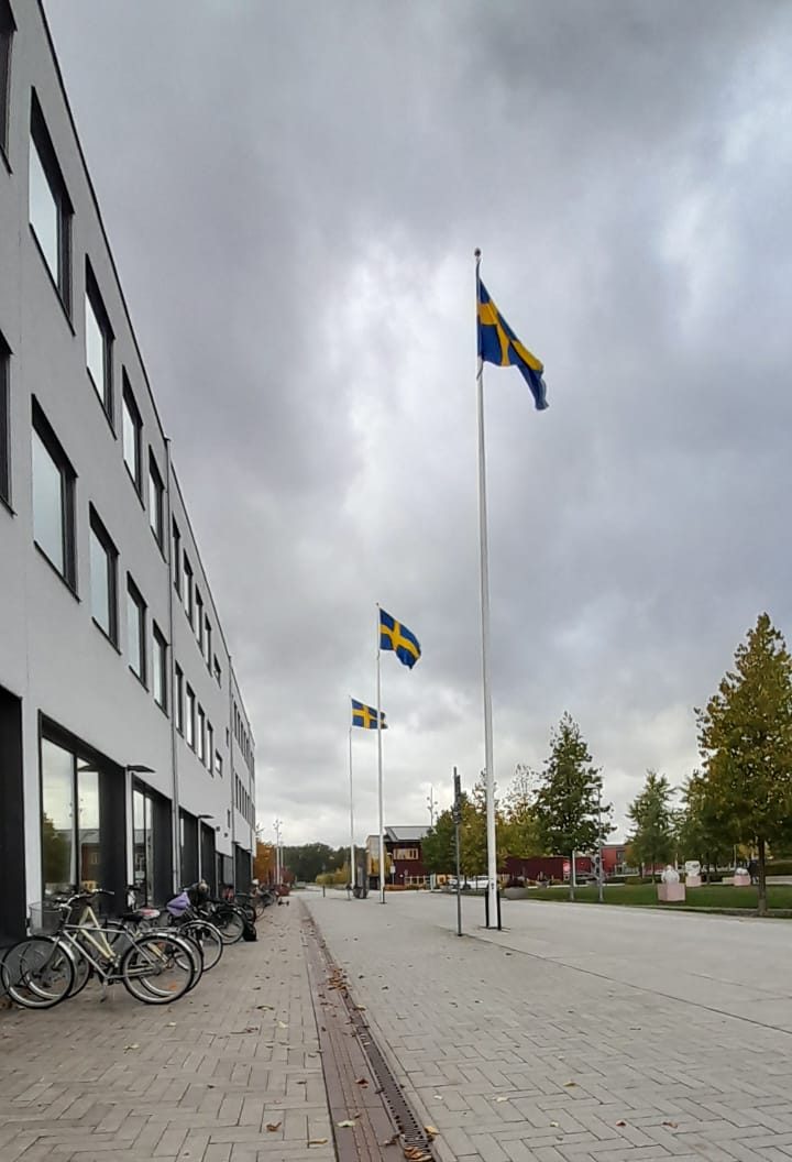A picture of the university walkway showing the Swedish flags